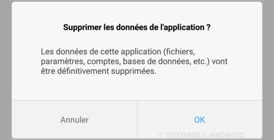 Comment désactiver les applications système sur Android ? 3 Confirmer la suppression des applis système