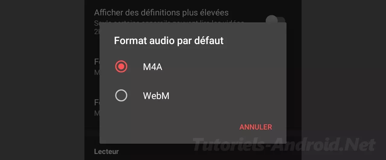 Format Audio par défaut NewPipe