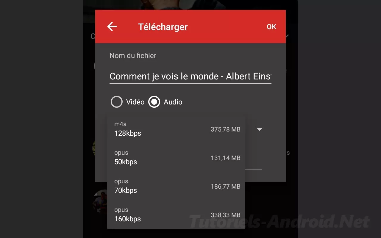 Télécharger Livre Audio de depuis Youtube avec NewPipe