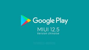 Installer Google Play sur MIUI 12.5 (version chinoise) 21 Installer Google Play sur Xiaomi sous MIUI 12.5 (version chinoise))