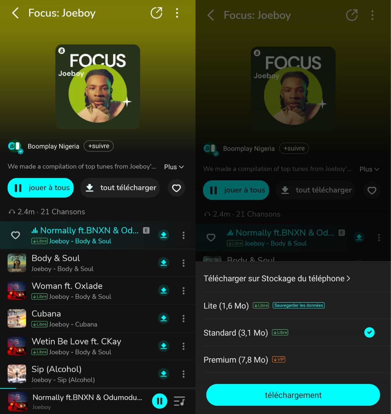 Télécharger des MP3 depuis BoomPlay.Com