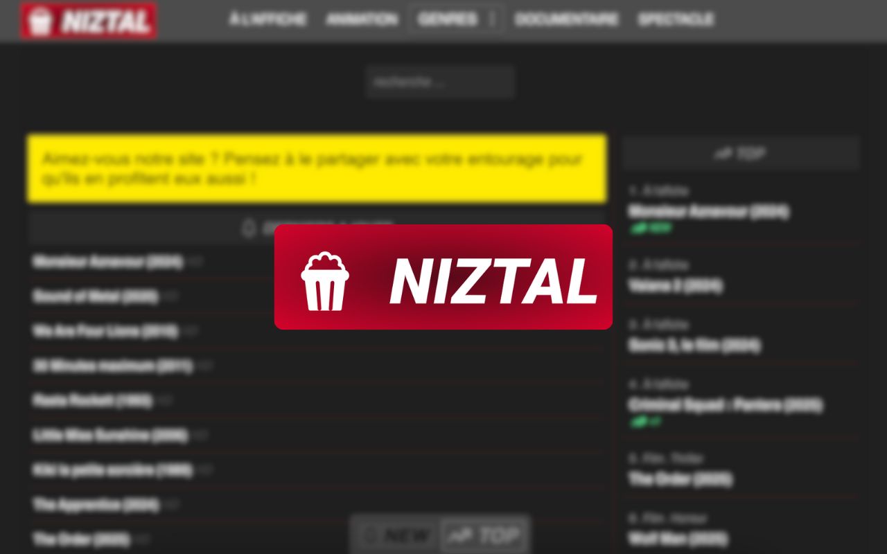 Niztal et Limpaz changent d'adresse et deviennent Dolwiz (06/2026) 1 Site de films en streaming avec logo Niztal