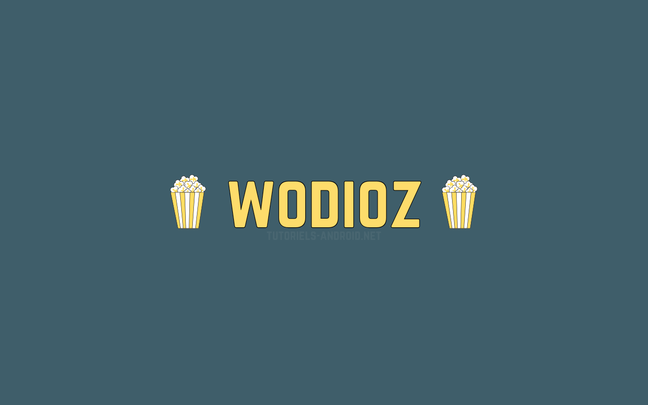 Wodioz devient Moovtop