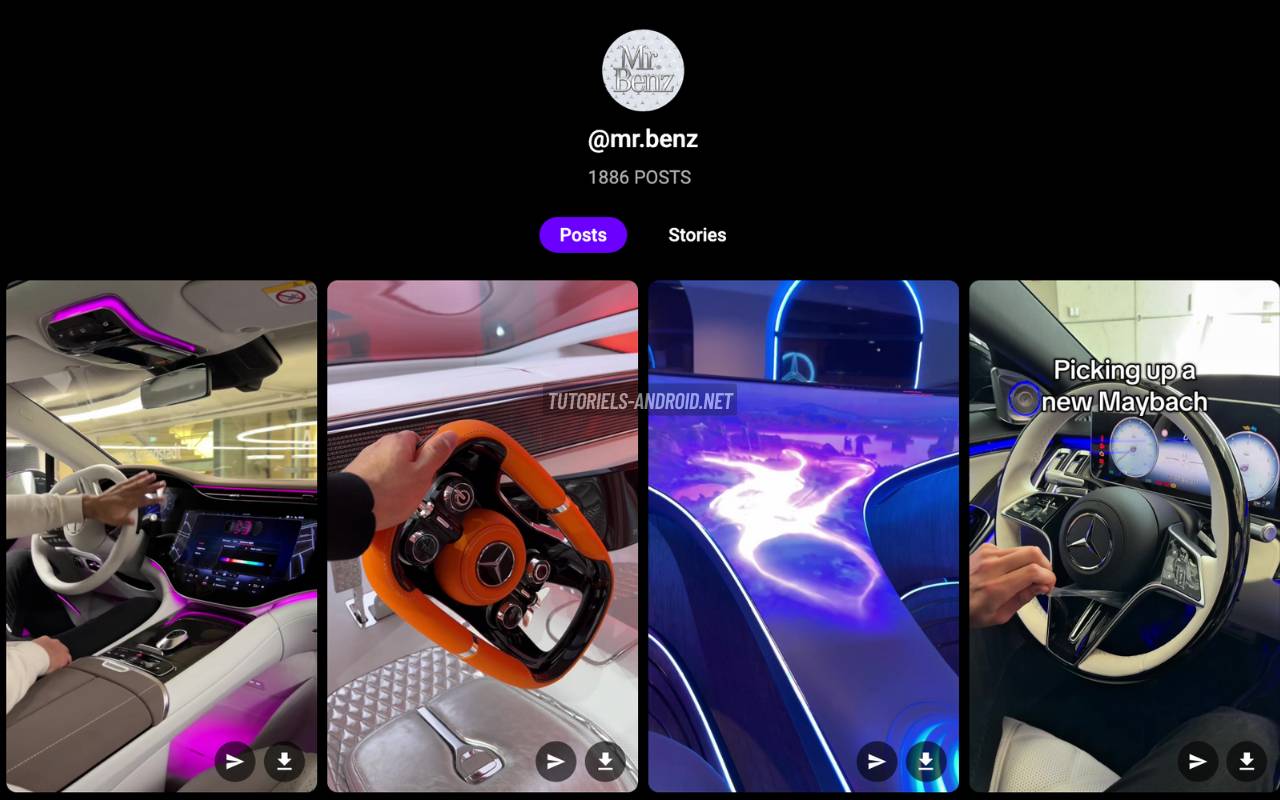 Picuki : Naviguer sur Instagram discrètement et sans compte 2 Image qui montre le contenu du profil de Mr.Benz chargé dans le site Picuki